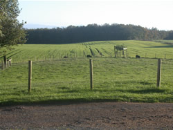 One of the views from your sitting room